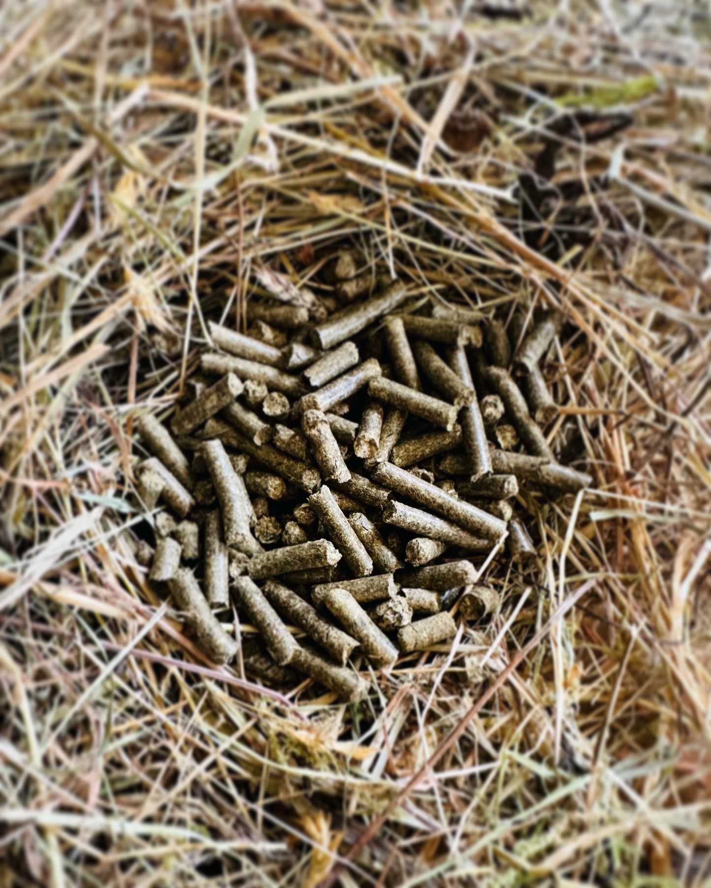 Hay & Straw mix pellet