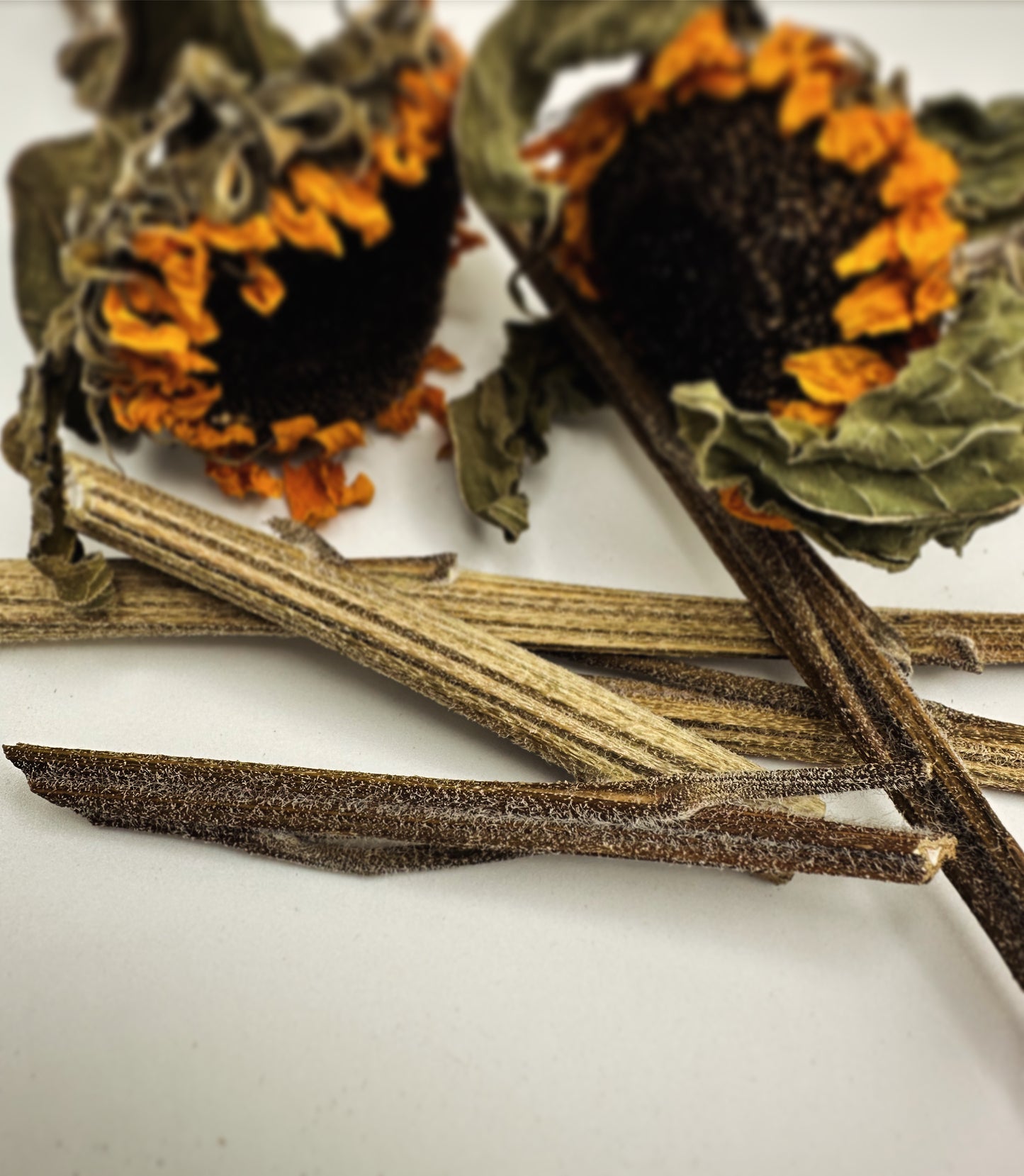 Sunflower Stalk Chew sticks