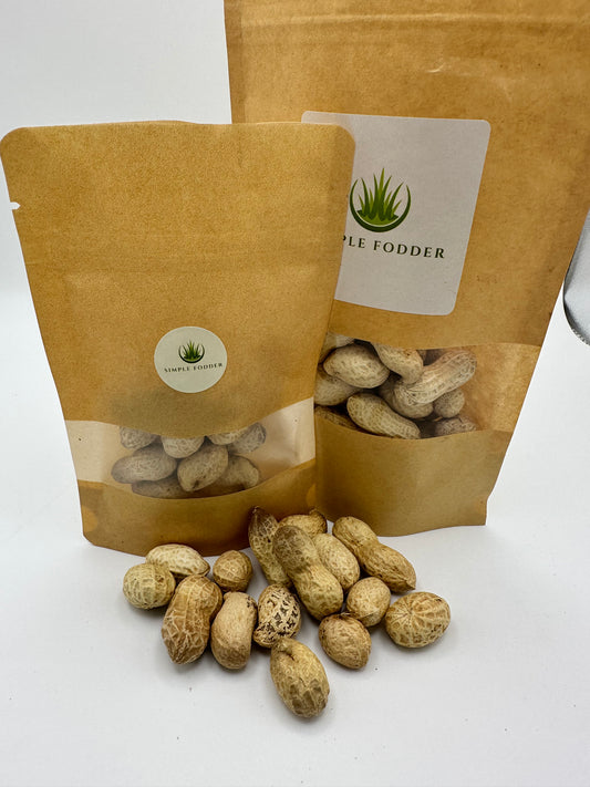 Monkey Nuts small pack