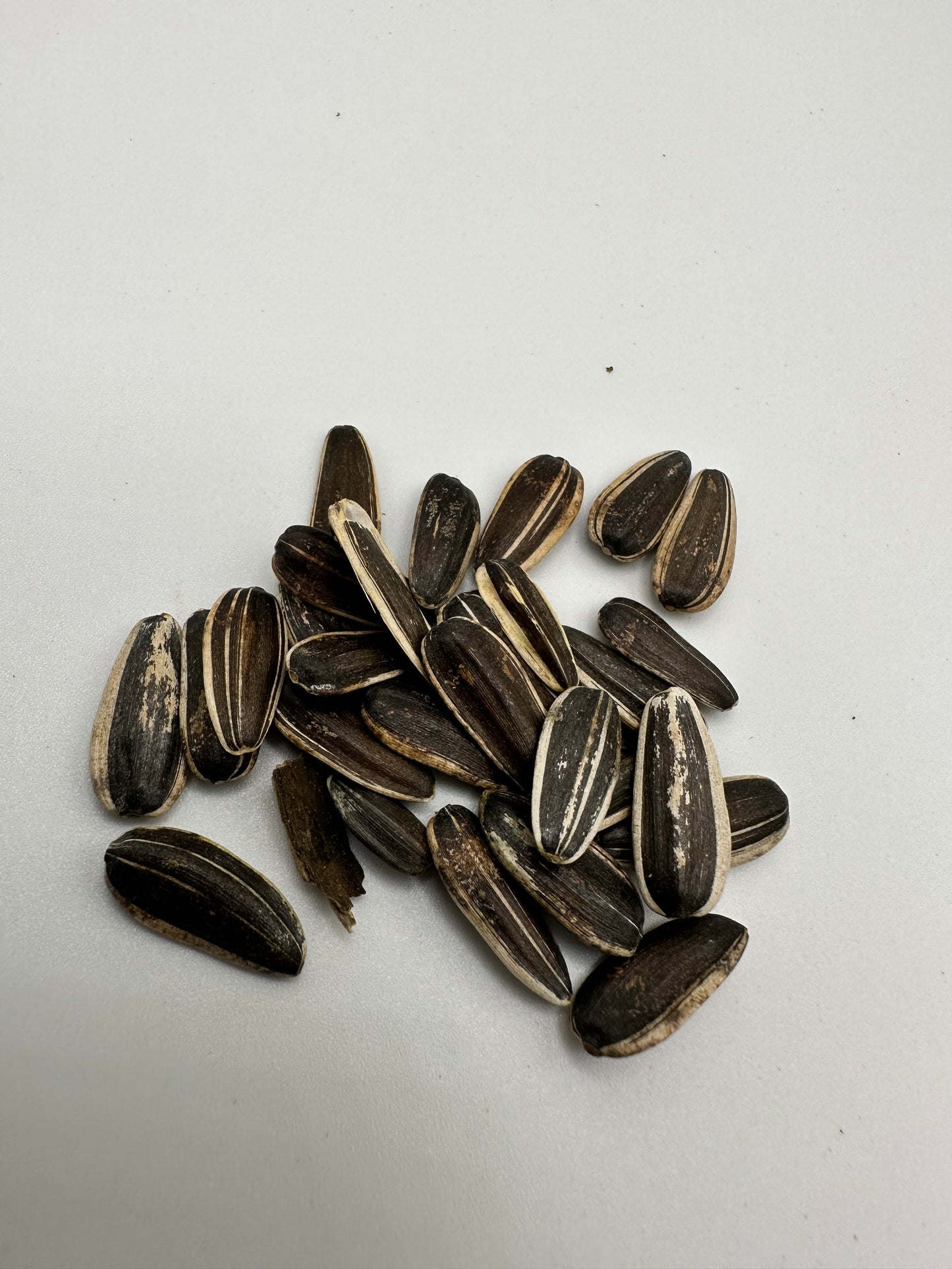 Black Striped Sunflower seeds