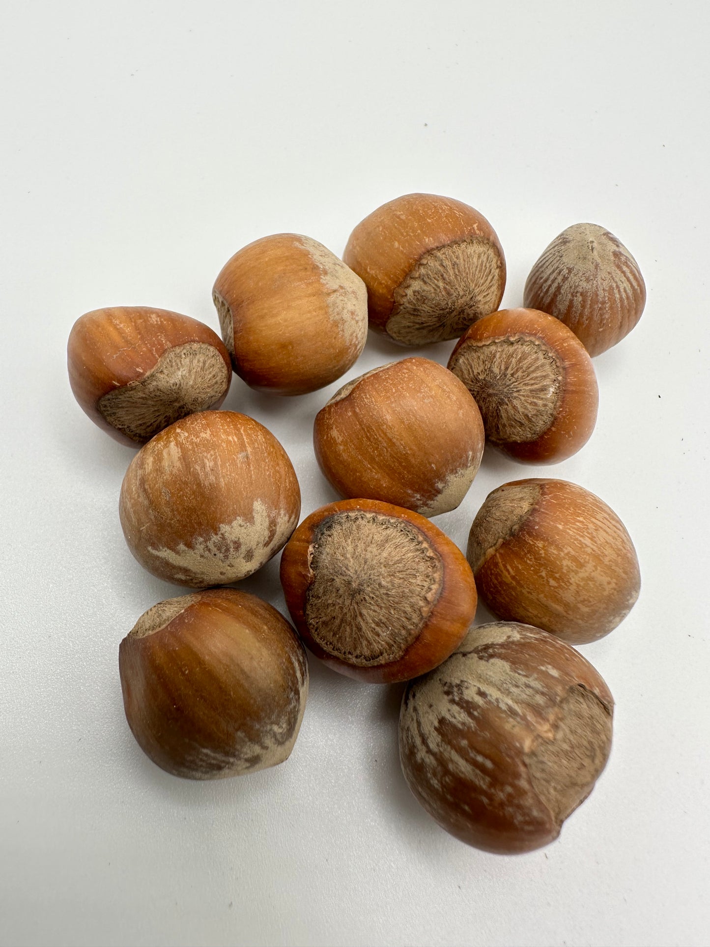 Hazelnuts