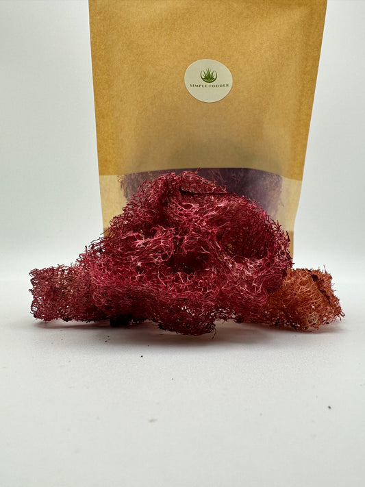 Beetroot Loofah chews