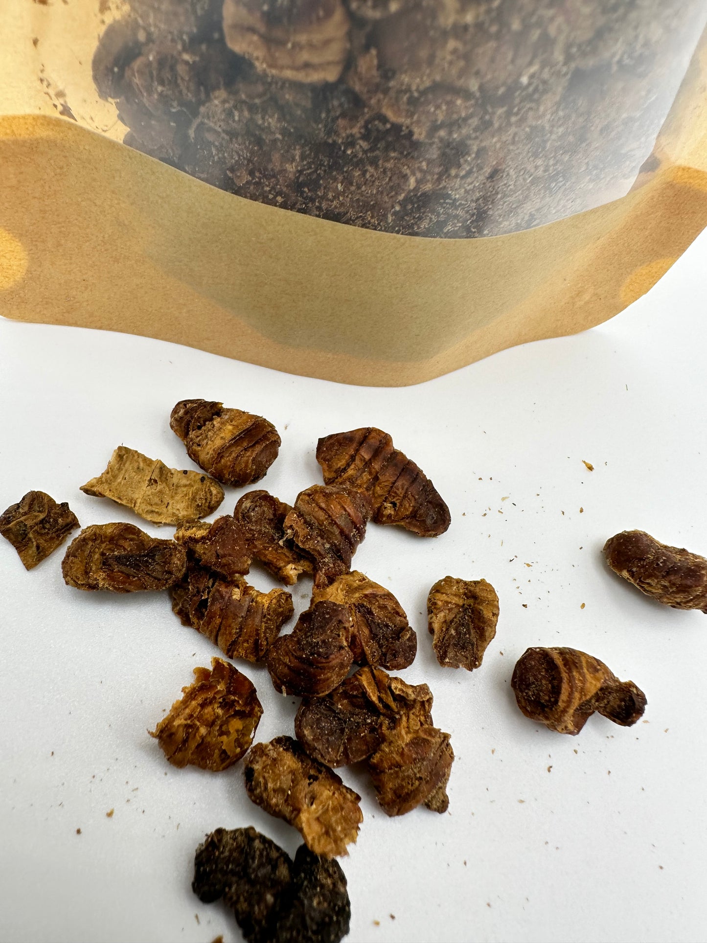 Silk worm pupae