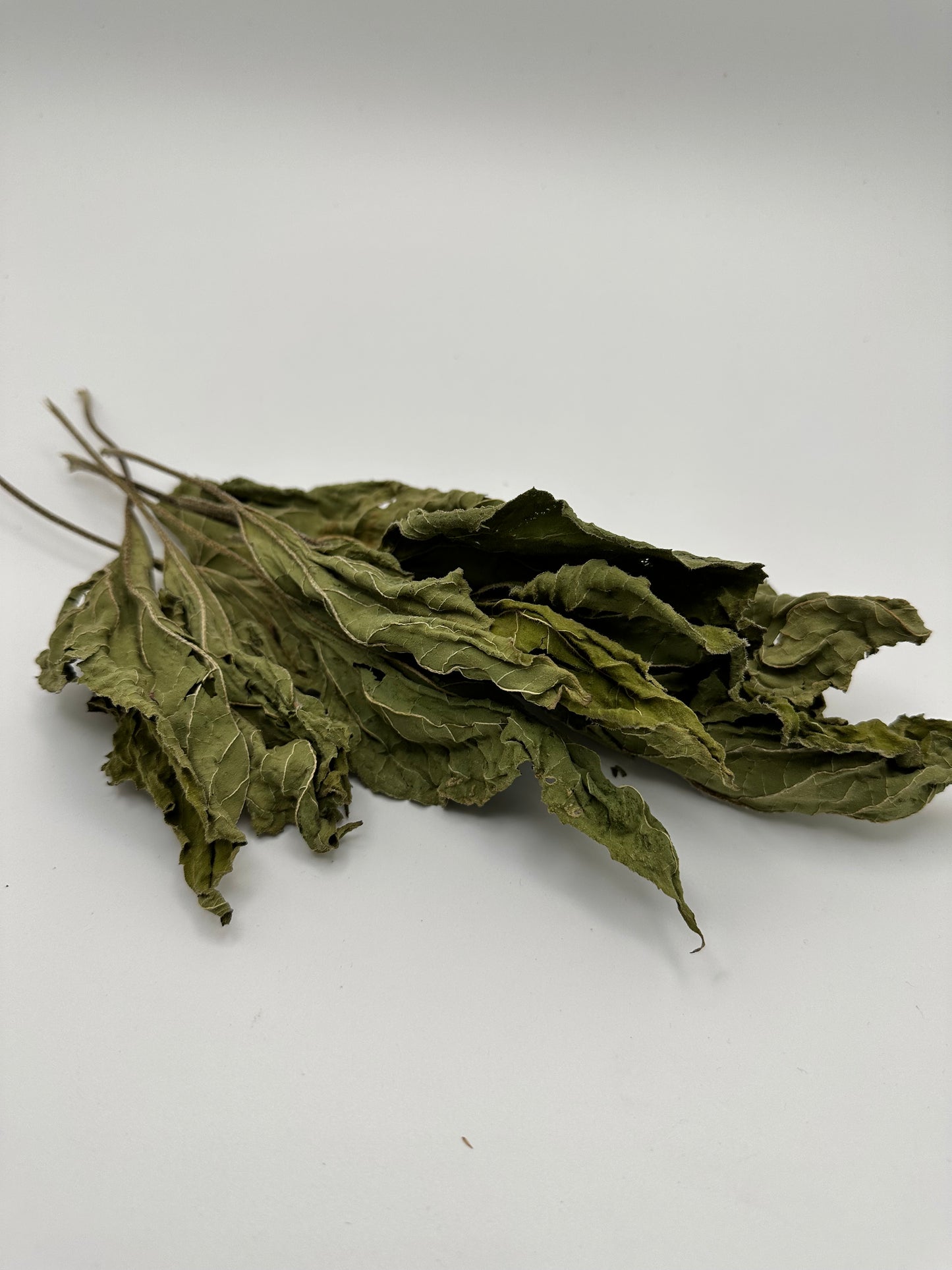 Dried Sunflower Leaves