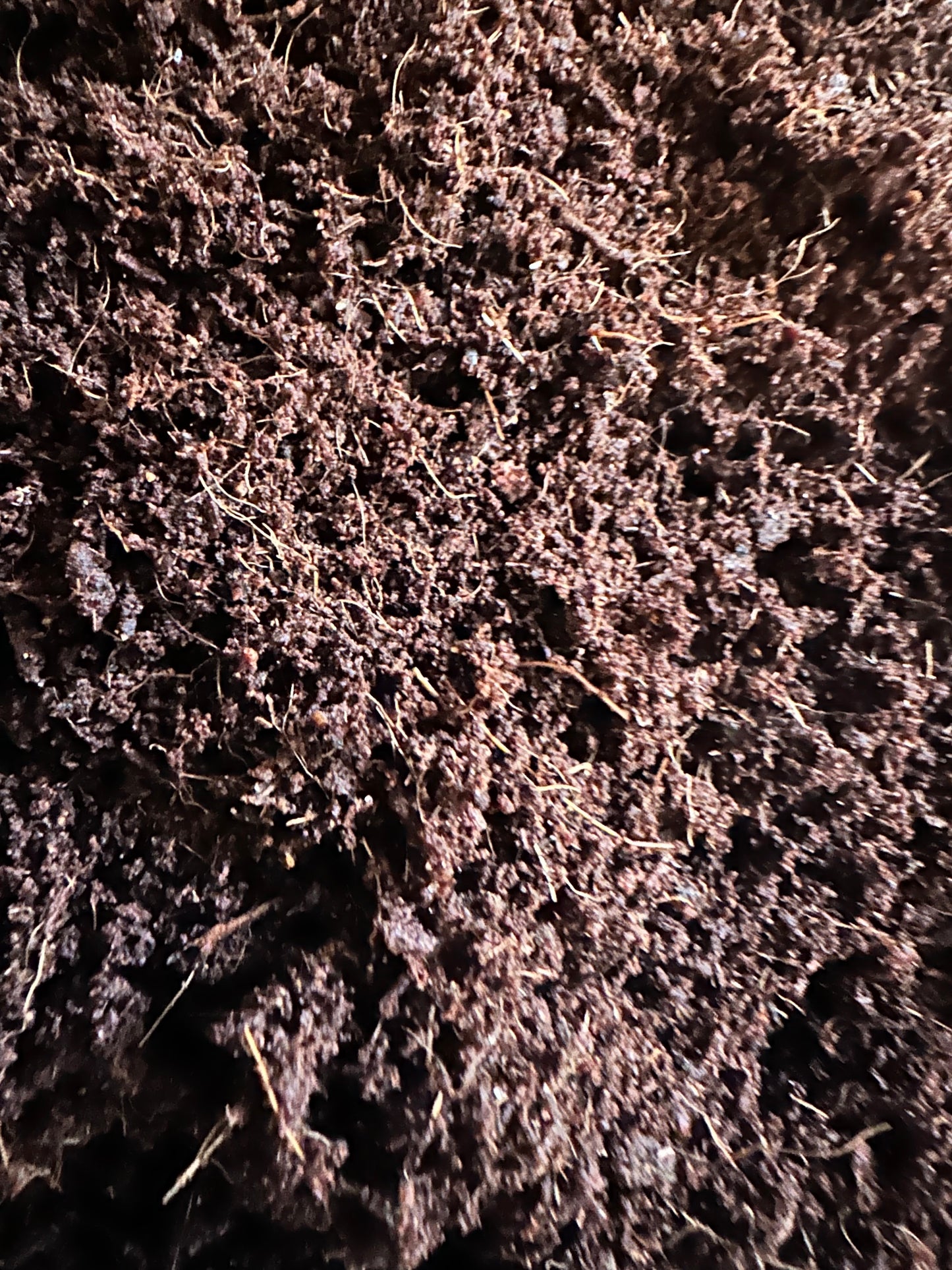 Coco Soil